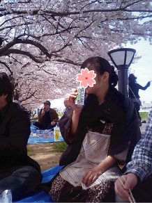 sakura-m1.jpg