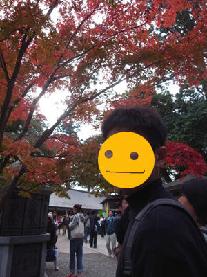 kouyou