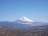 fuji