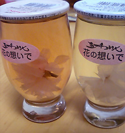 goiti-wine