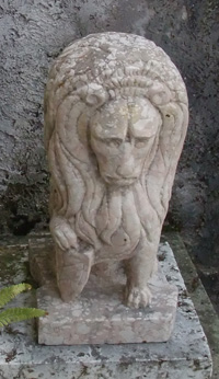 lion1