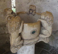 lion2