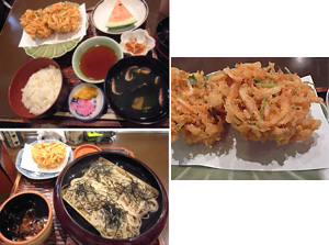10sakura-ebi