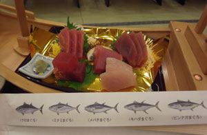 maguro