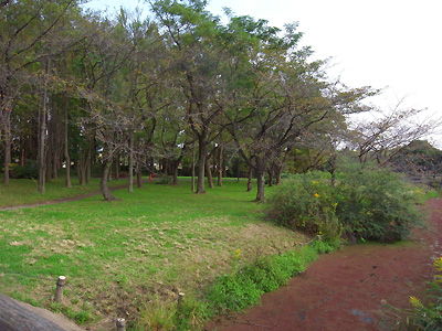 kouenn