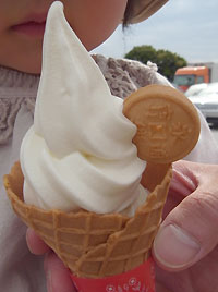 ice ice