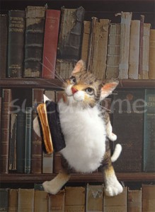 H-book
