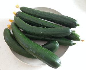 cyuuri2