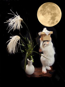 15moon