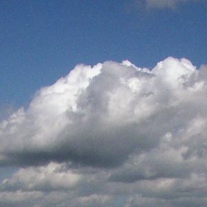 �x�[�g�[���F���F�s�A�m�\�i�^��29�ԕσ�������i106�u�n���}�[�N�����B�A�v��S�y��