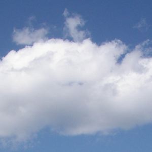VpȌzȍi66
