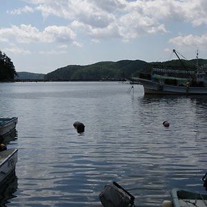 VpȗKȕσC