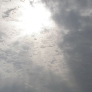 XgȃpKj[jKȑP