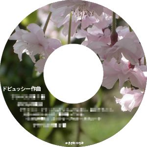 �h�r���b�V�[��ȏ����ȗr����