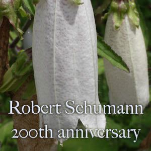 �V���[�}����ȃA���x�X�N��i18